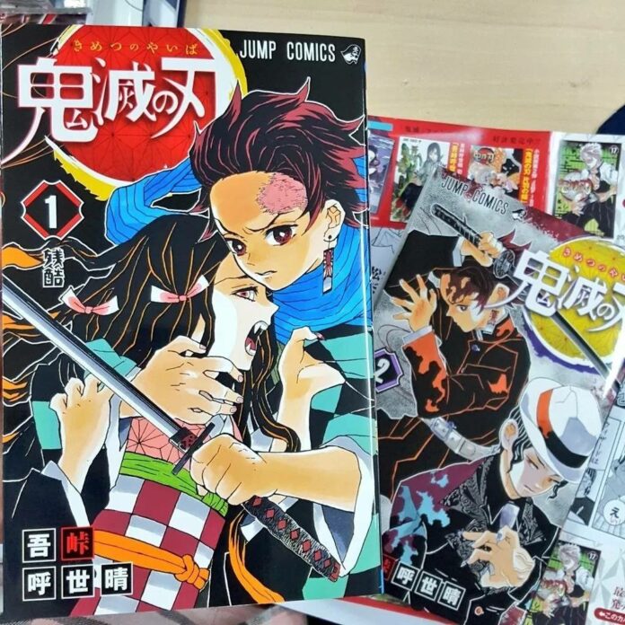 demon slayer: kimetsu no yaiba