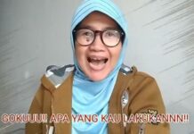 Srilan Wulan si Seiyuu Chichi di Dragon Ball Super Ternyata Juga Pernah Jadi Seiyuu Bulma dragon ball super