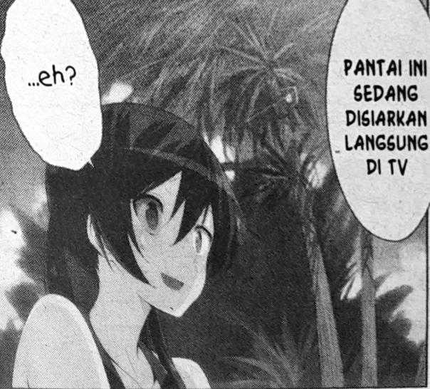 castle town dandelion