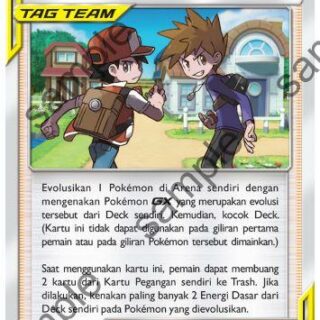 pokemon tag team