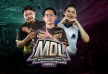 mdl indonesia