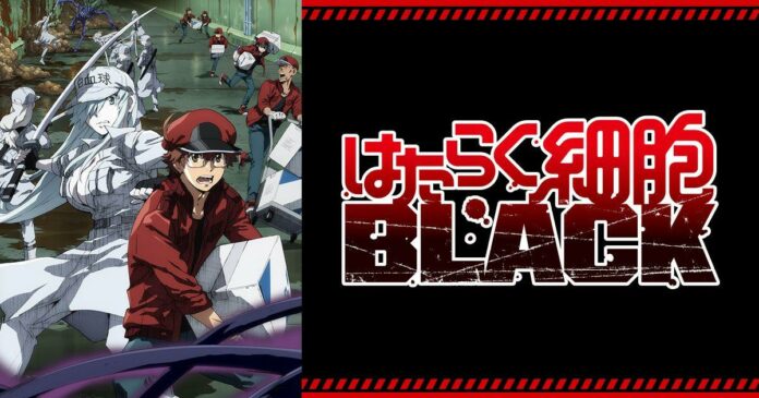 Hataraku Saibou Black Cells at Work! Code Black