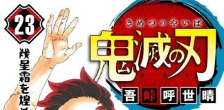 demon slayer: kimetsu no yaiba