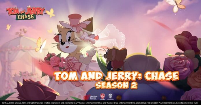 Tom and Jerry: Chase Tom and Jerry