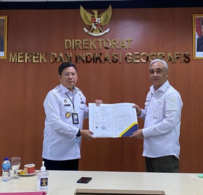 esports indonesia esports