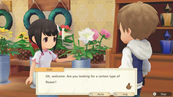 Story of Seasons: Pioneers of Olive Town