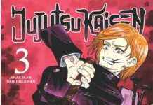 jujutsu kaisen lanjut