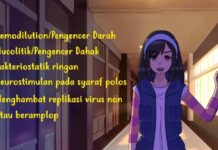 protokol sehat rakyat