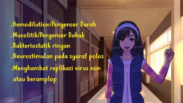 protokol sehat rakyat