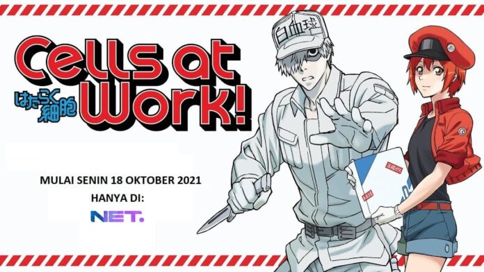 cells at work hataraku saibou