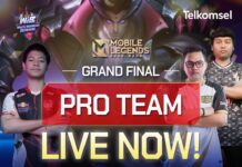 Jadilah Saksi Juara di Grand Final DGWIB Championship MLBB Pro dan Ladies! dgwib dunia games wib championship