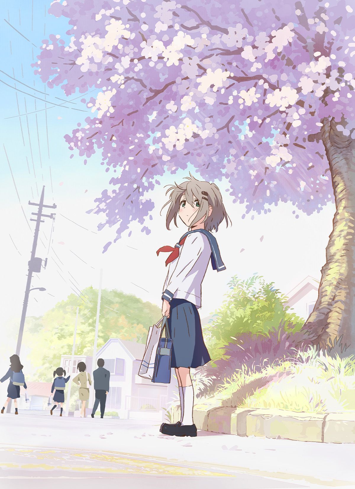 Sambut Yama no Susume: Next Summit