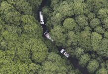 kematian tragis rina arano