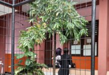 Serunya Nitramatsuri 2023 SMAN 1 Tangerang