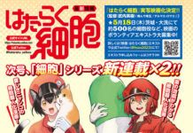 Manga Spin-Off Terbaru Cells At Work! Kini Membahas Kucing! cells at work cat kucing hataraku saibou