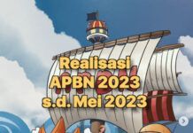 Bergaya Ala Luffy, Sri Mulyani Beberkan Realisasi APBN 2023 Sampai Dengan Mei 2023 luffy