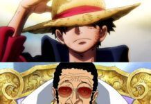 luffy vs kizaru