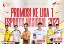 Liga Esports Nasional