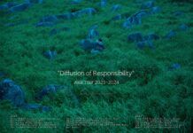 Diffusion of Responsibility