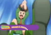 hunter x hunter 2011