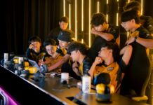 free fire ffws 2024 spring