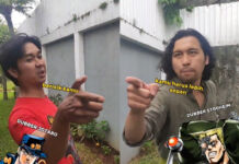 Jotaro VS Stroheim Ray Paulus