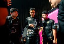 rrq kazu ffws sea 2024 spring