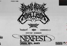 NEXFEST