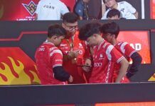 ffws sea 2024 fall bigetron