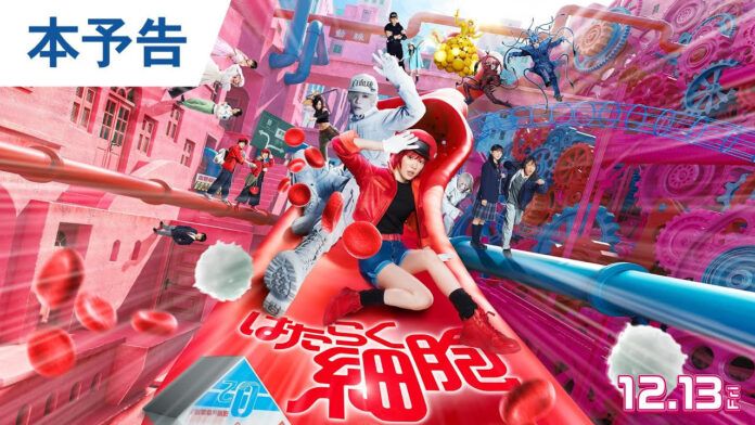 cells at work hataraku saibou