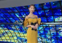 Seiyu Riho Iida Hamil