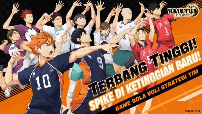 HAIKYU!! FLY HIGH haikyu