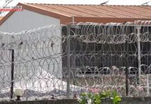 Imigran ilegal dari Jepang