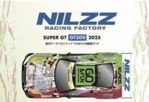 nilzz racing super gt nachoneko