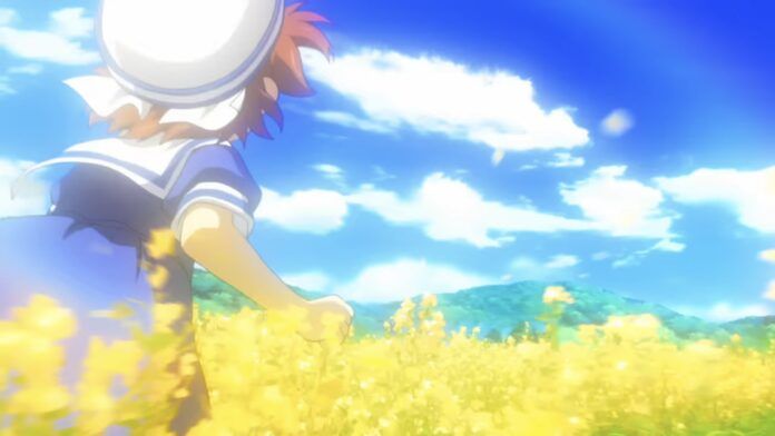 ladang bunga Clannad