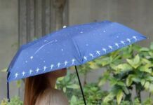 Payung Studio Ghibli