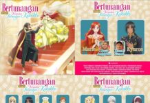 streaming anime, dubbing anime