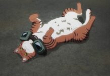 night nyaight of the living cat