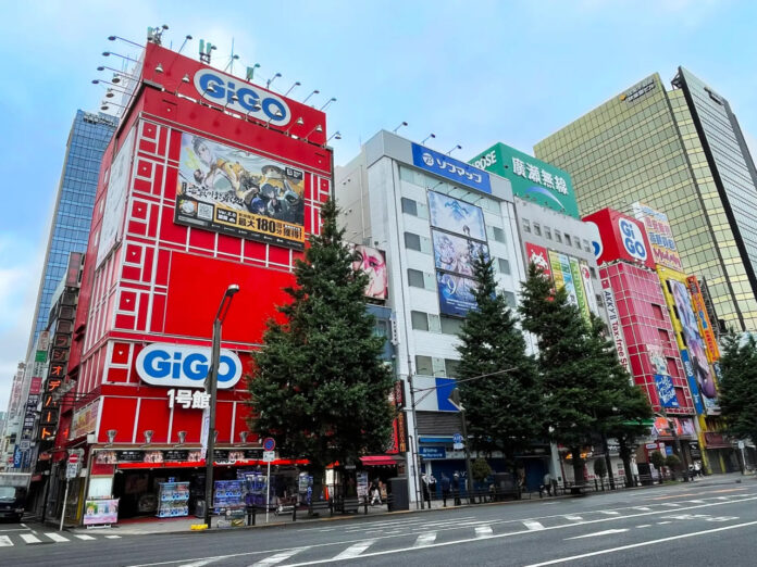 akihabara gigo