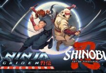 Resmi Rilis, Ayo Main Game Shinobi: Art Of Vengeance