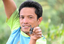 Kumbang Indonesia Laku Dijual ke Jepang bisnis ke jepang