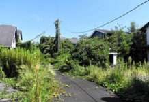 3 Warga Ukraina Diciduk Setelah Melakukan Live Streaming Ilegal di Fukushima kehidupan di jepang