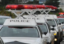 Nginap di Hotel Tidak Bayar, Turis Australia Ini Diciduk Polisi Jepang kehidupan di jepang