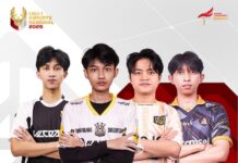 Liga Esports Nasional