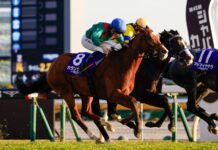Calandagan Juara Japan Cup 2025, Pecahkan Rekor Almond Eye! calandagan japan cup