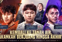 m7 world championship coach indonesia