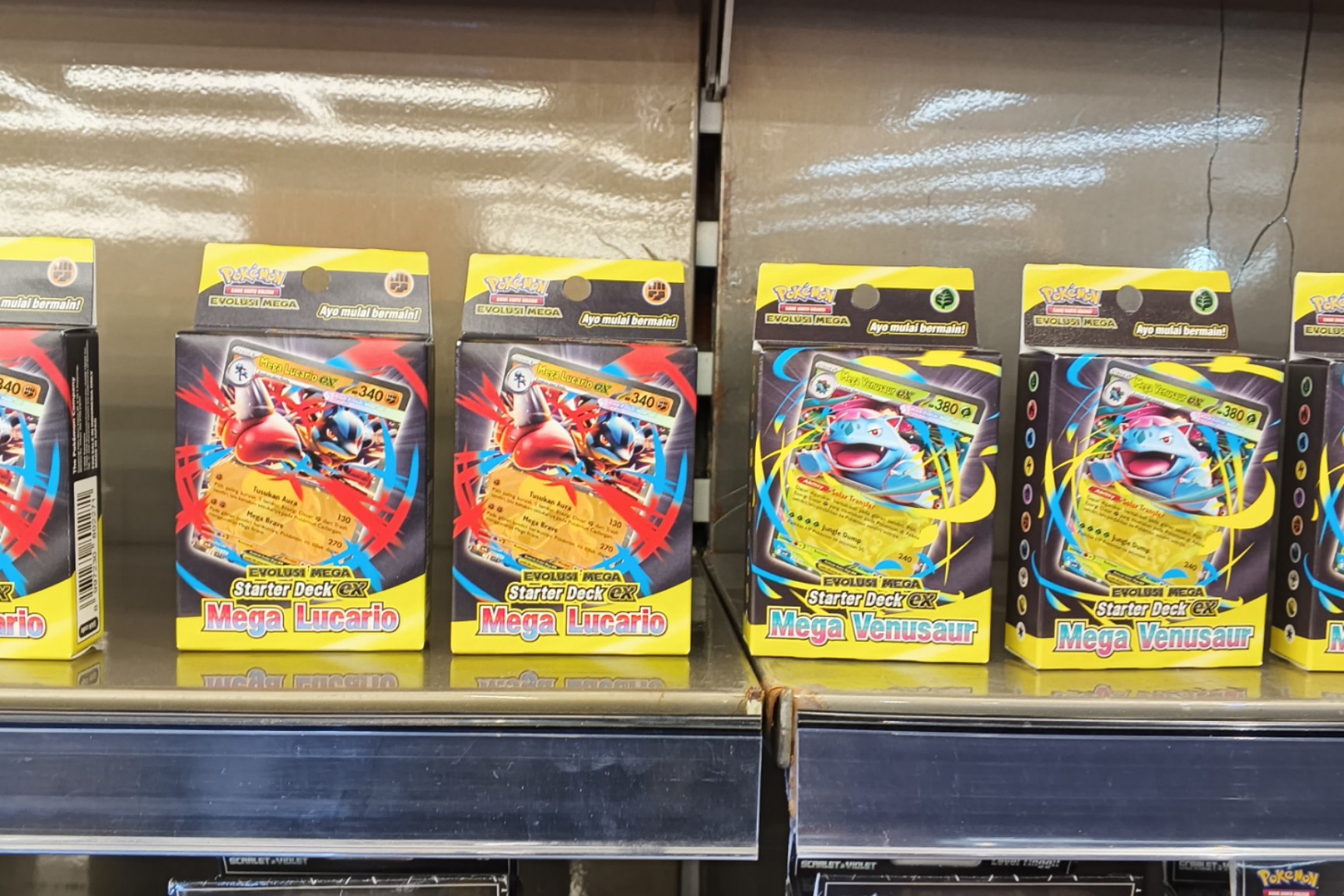 Display Pokemon TCG Starter Deck ex Mega