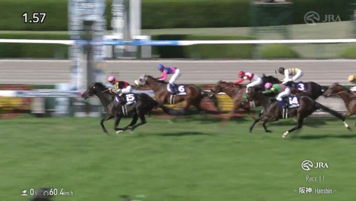 croix-du-nord-osaka-hai-26-finish