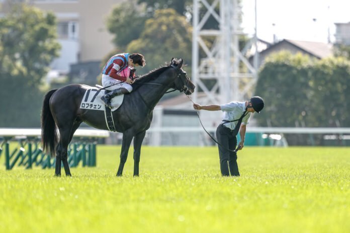 20260531_153840 lovcen japanese derby