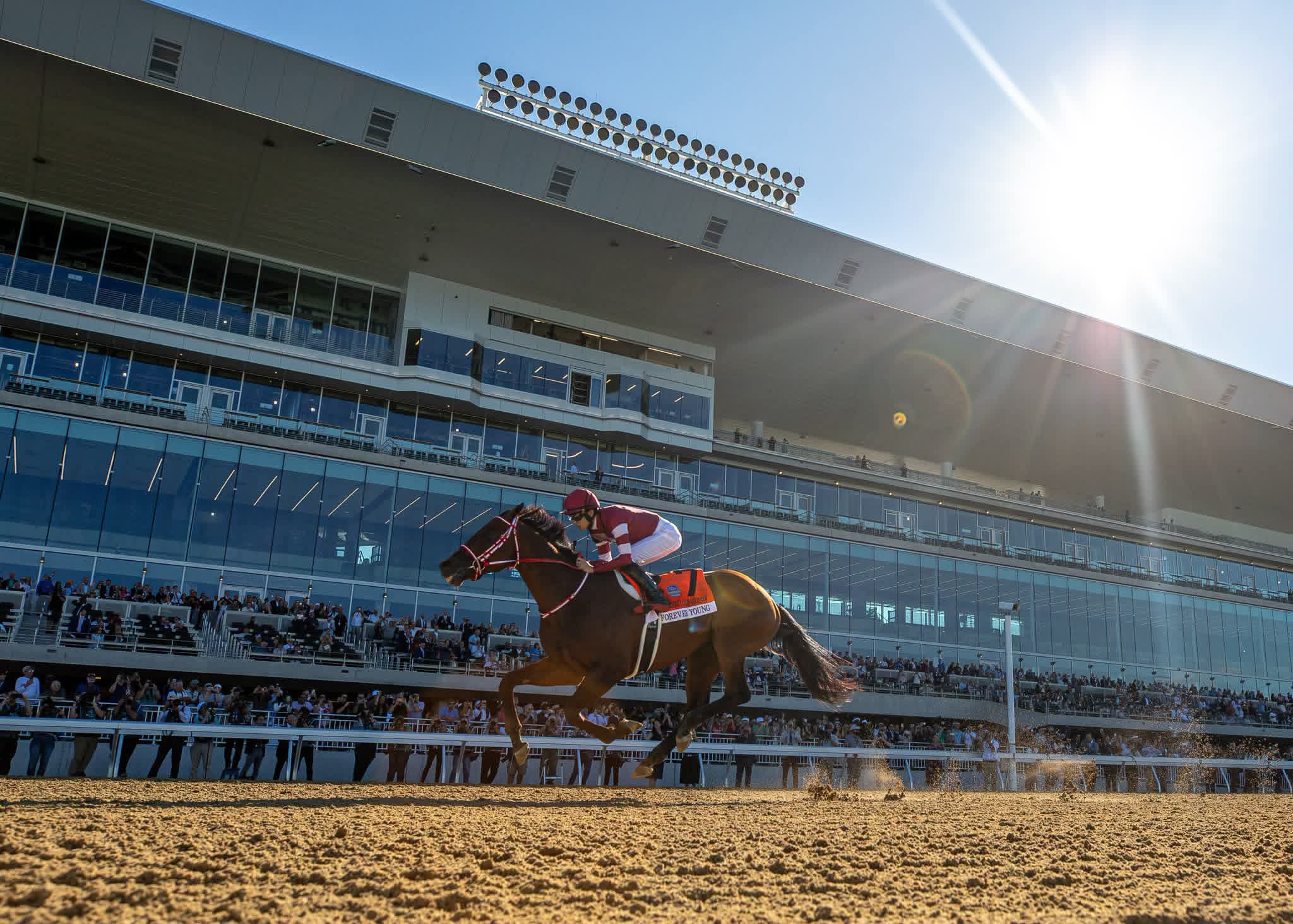 Forever Young G1 Jockey Club Gold Cup